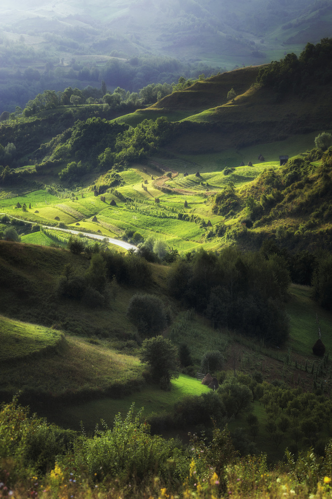 The Magic of Light von Sebastian Vasiu (Sebastiaen)