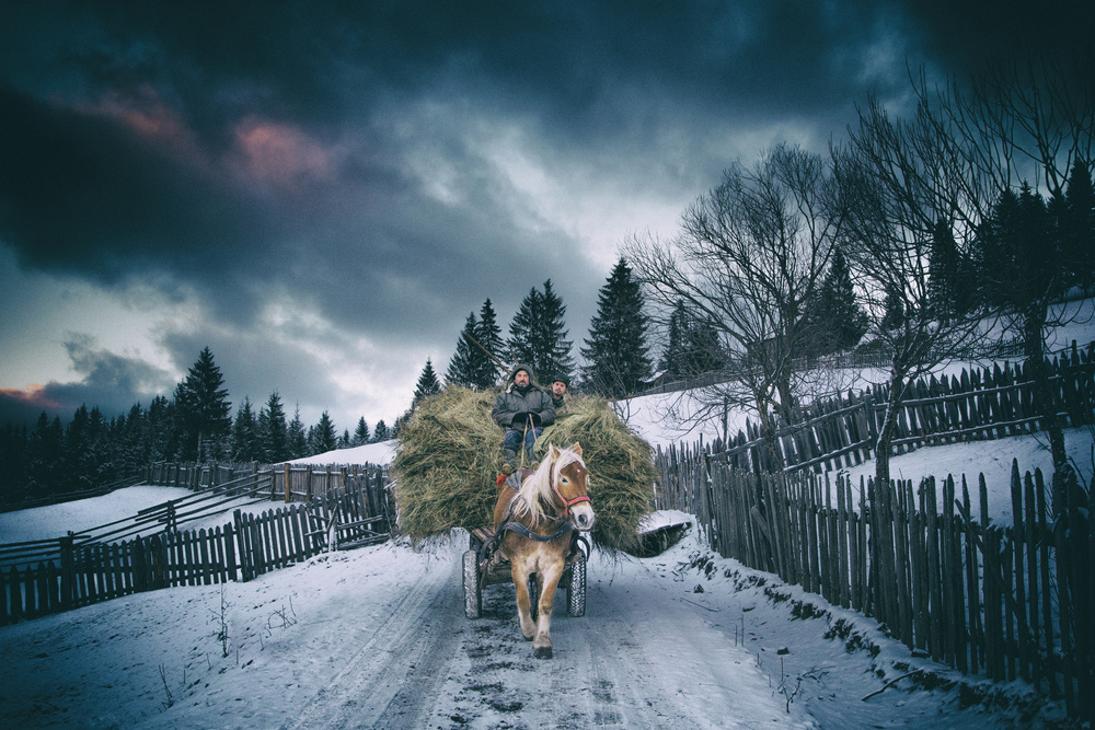 Along A Narrow Road von Sebastian Vasiu (Sebastiaen)