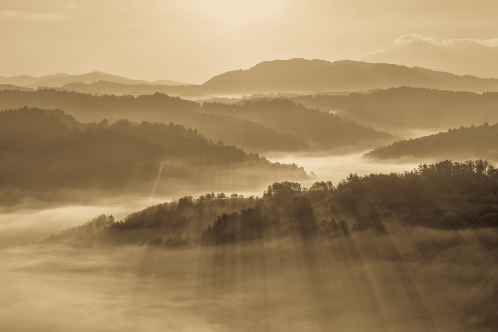 Golden Morning Light von Sebastian Vasiu (Sebastiaen)