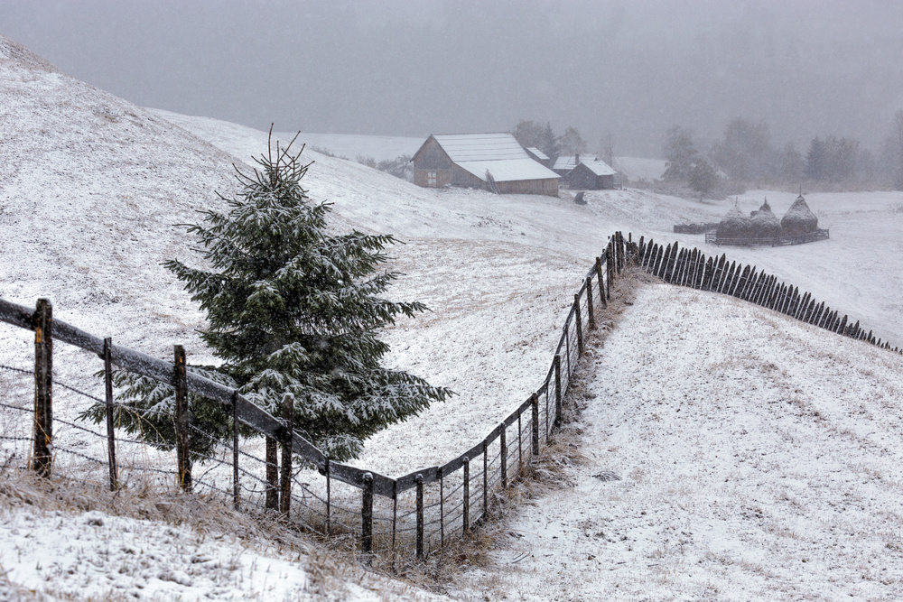 Already Winter in Bucovina von Sebastian Vasiu (Sebastiaen)