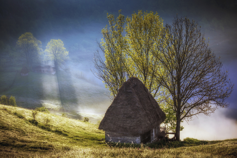 Stone-still into the morning light von Sebastian Vasiu (Sebastiaen)