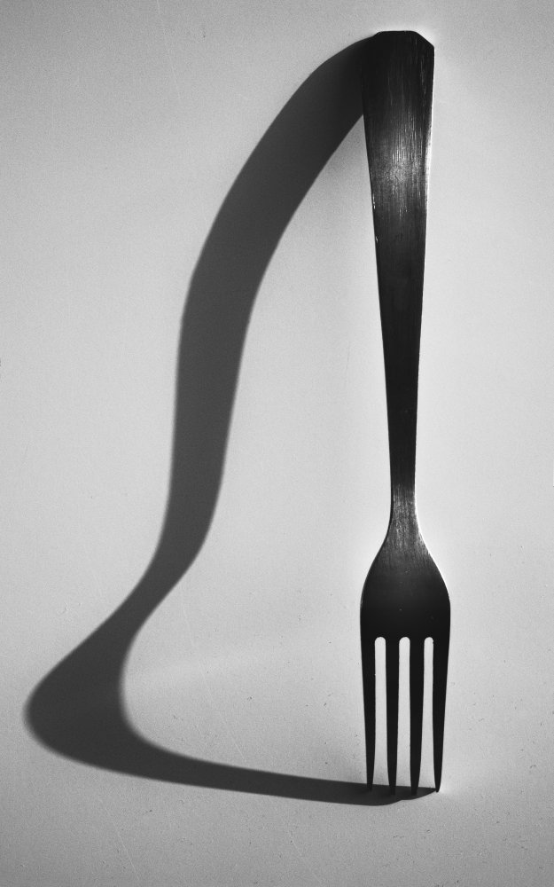 Fork von Selaru Ovidiu