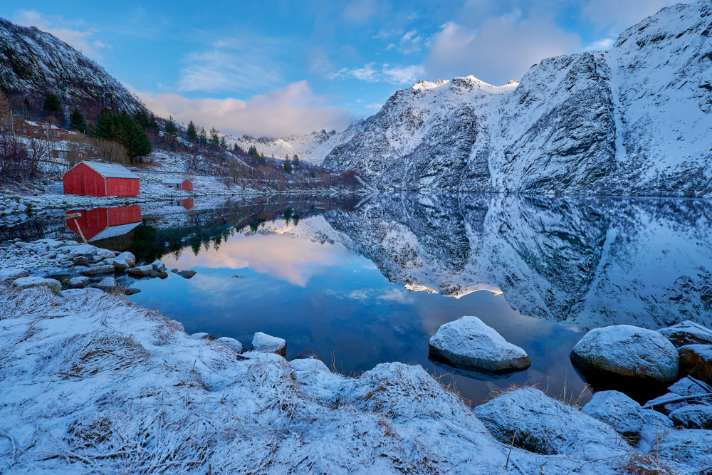 Lofoten von Semion Shuster