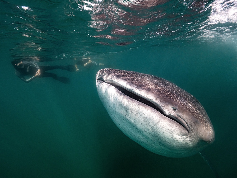 Close encounter von Serge Melesan