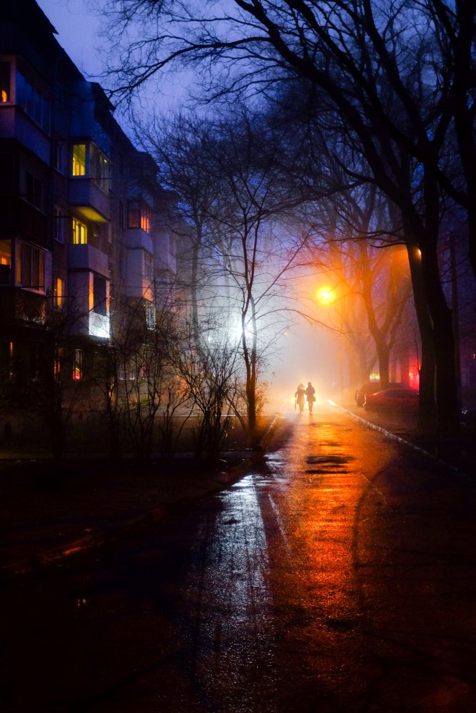 through foggy yards von Sergey Trush