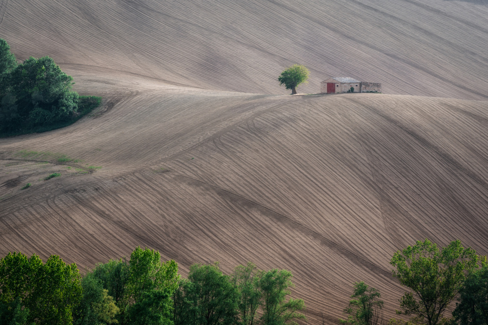 The little house on the hill von Sergio Barboni