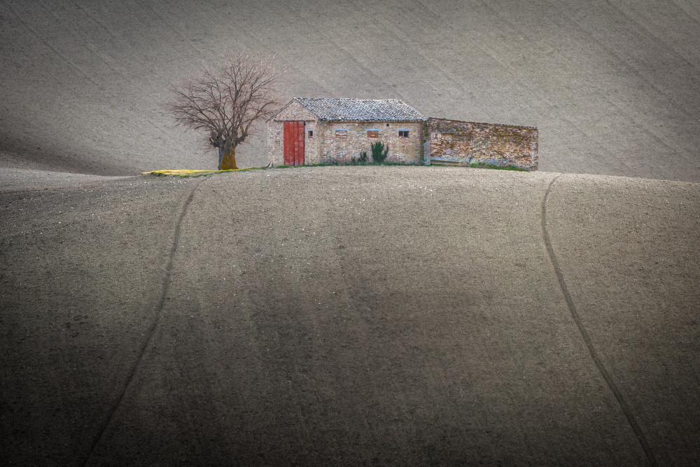 The mulberry tree and the farmhouse von Sergio Barboni