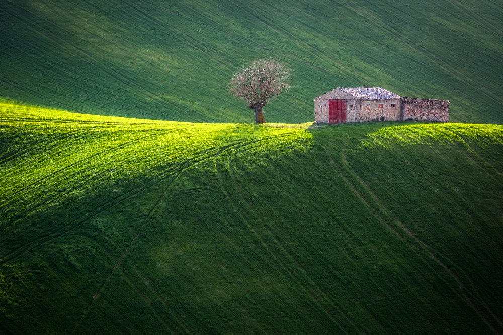 Spring at the old farmhouse von Sergio Barboni