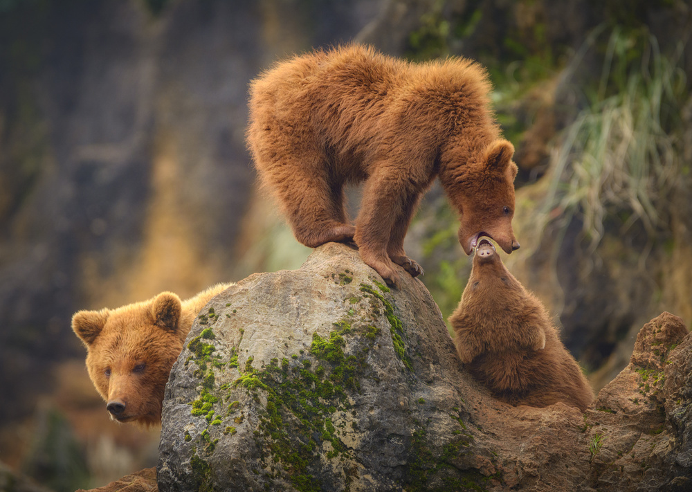 Playing in the heights von Sergio Saavedra Ruiz