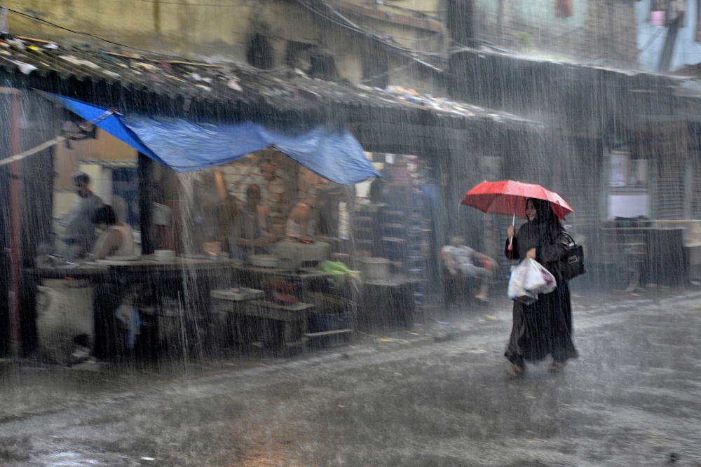 Woman in umbrella von Shaibal Nandi