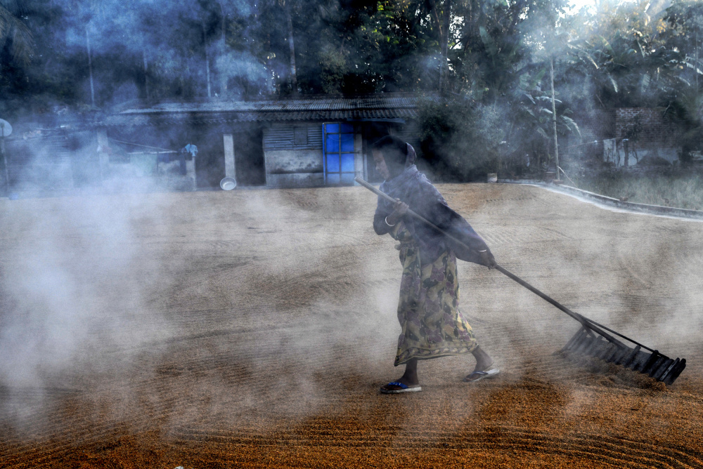 Paddy drying3 von Shaibal Nandi