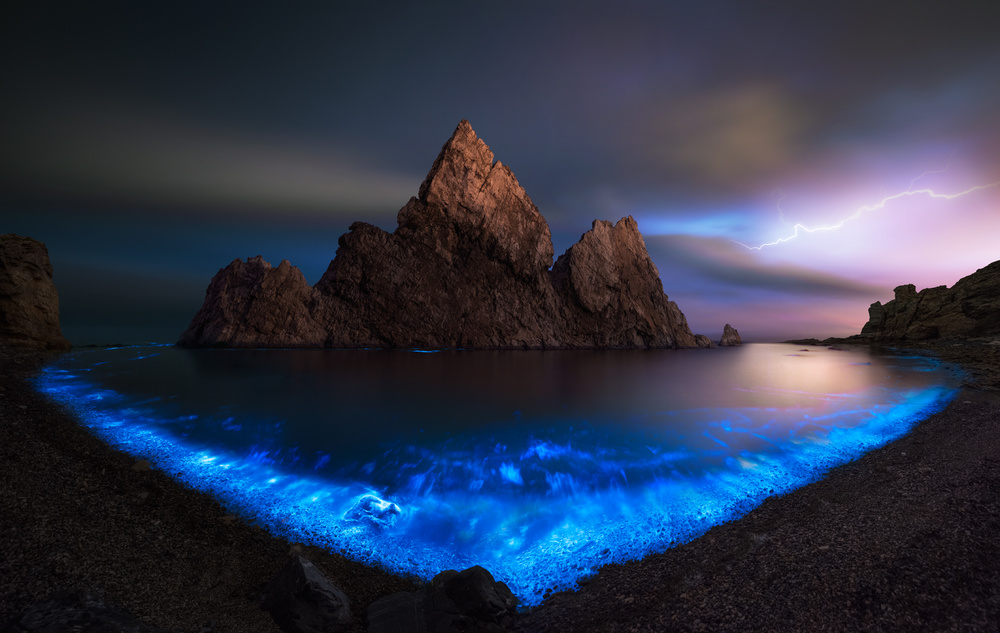 Fluorescent Sea von Shanyewuyu