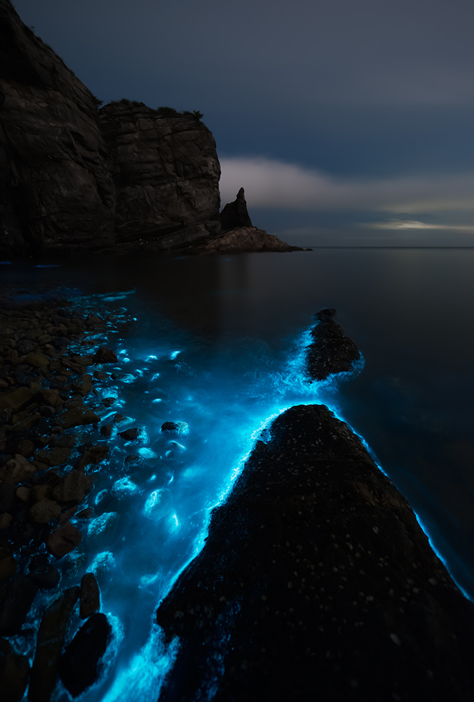 Fluorescent Sea von Shanyewuyu