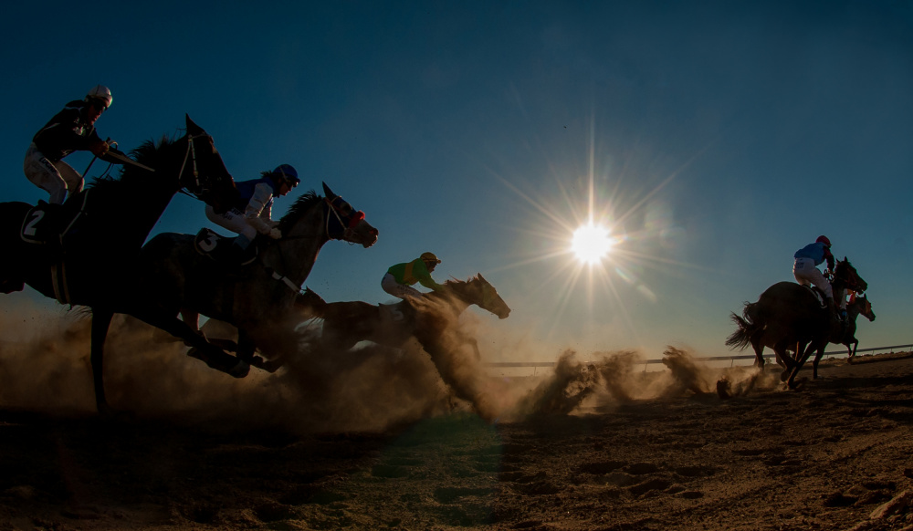 Betoota Flying Through The Dust von Sharon Lee Chapman