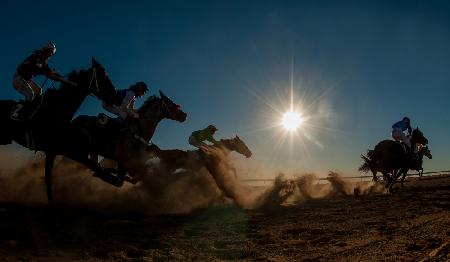 Betoota Flying Through The Dust