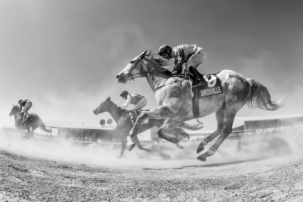 Birdsville through the dust von Sharon Lee Chapman