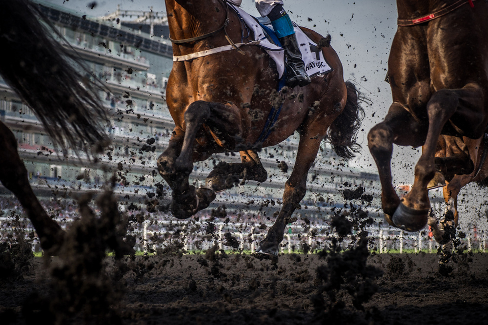 The Thunder of the Hooves von Sharon Lee Chapman