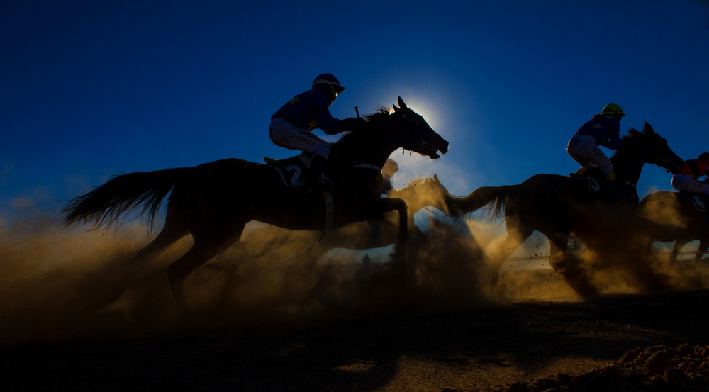 Horse Racing Through The Dust von Sharon Lee Chapman