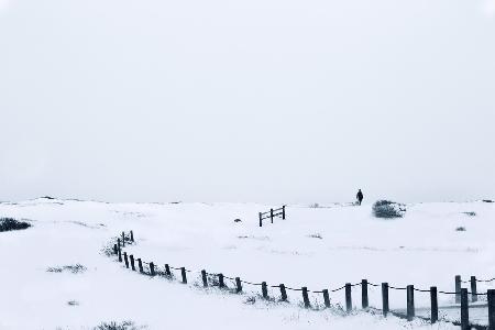 Photographer in Colorado