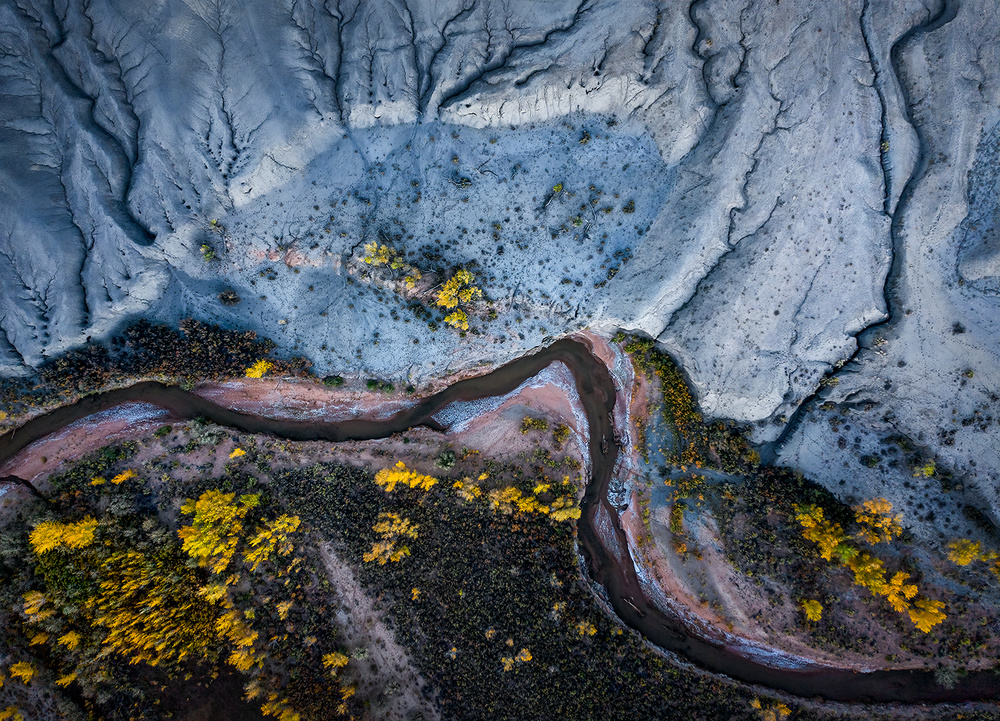 The embroidered land von Shenshen Dou