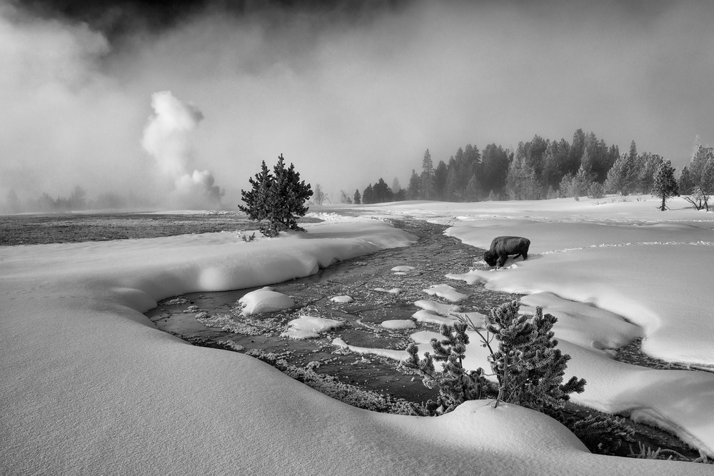 The Hardship of Winter von Shenshen Dou