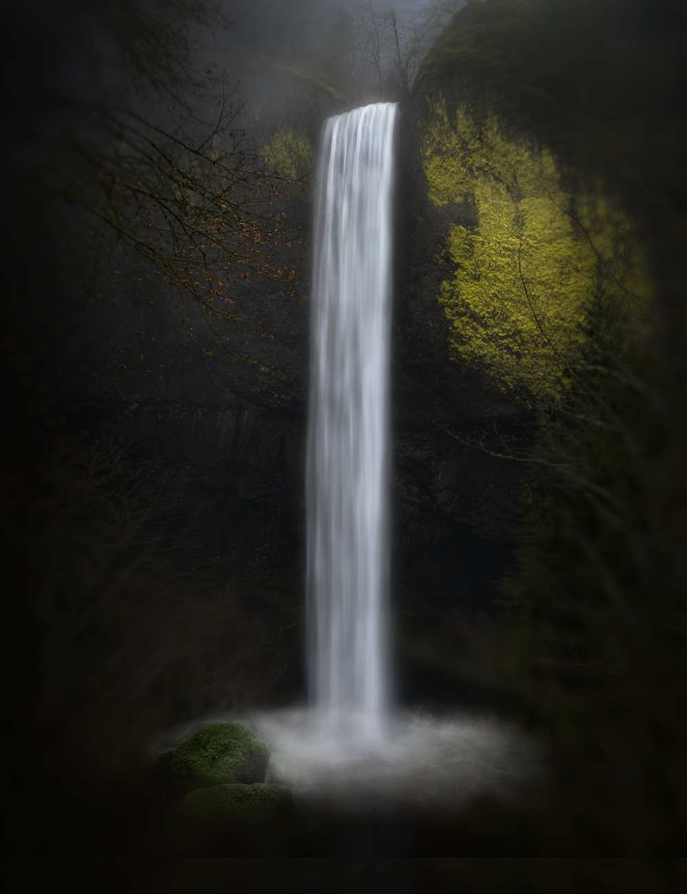 Latourell Falls von Shenshen Dou