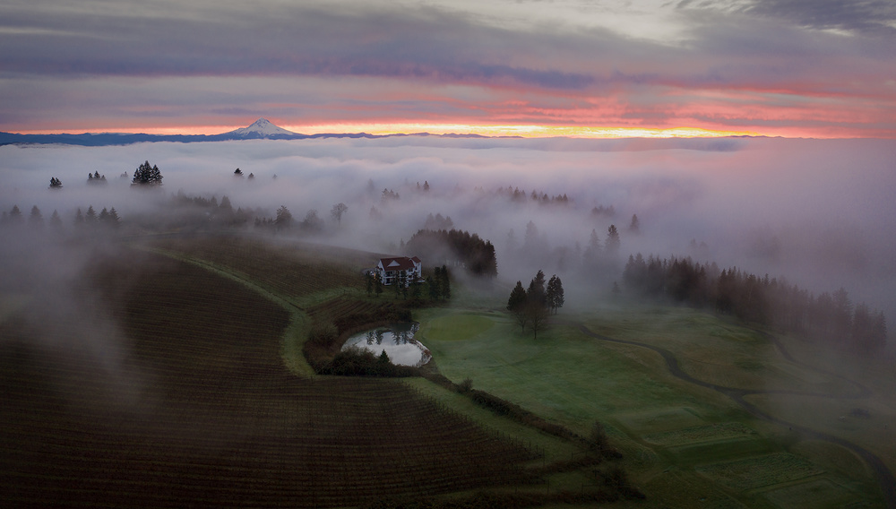 Foggy morning at staf. hill von Shenshen Dou