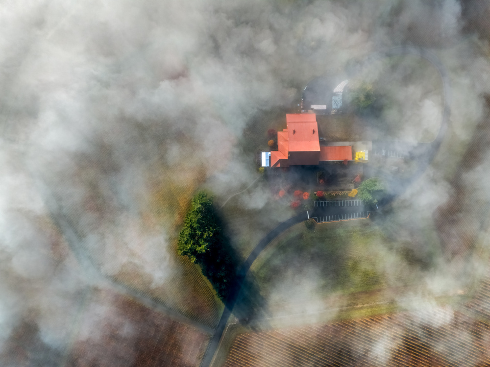 Foggy winery von Shenshen Dou