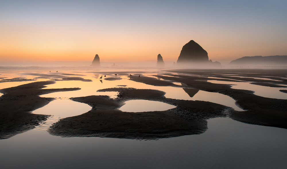 Low tide beach von Shenshen Dou