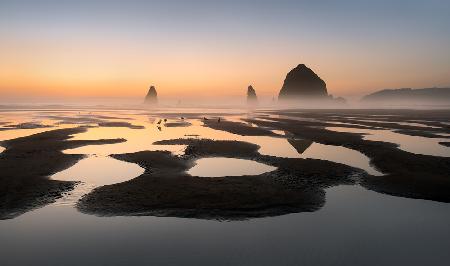 Low tide beach