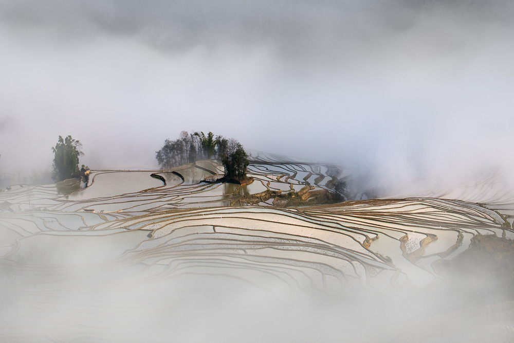 Terrace rice field von Shenshen Dou