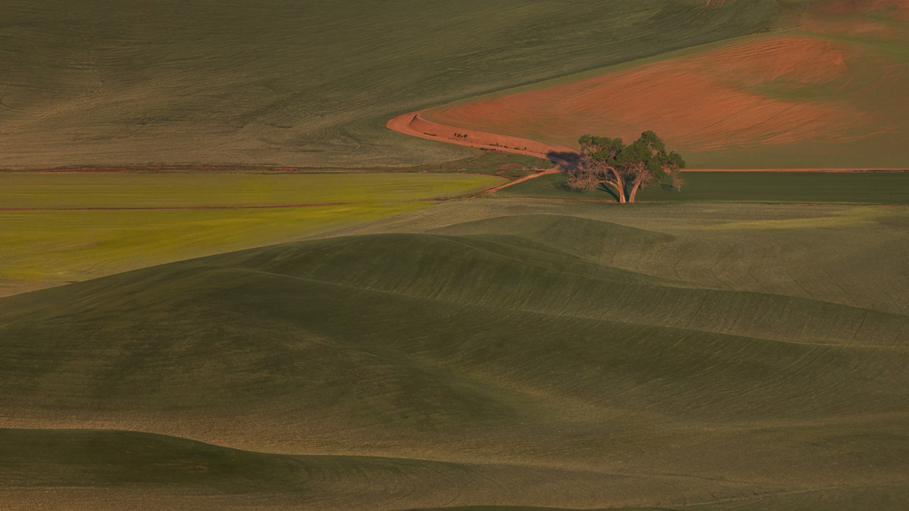 Leaning against each other in the morning Mist von sherry ma