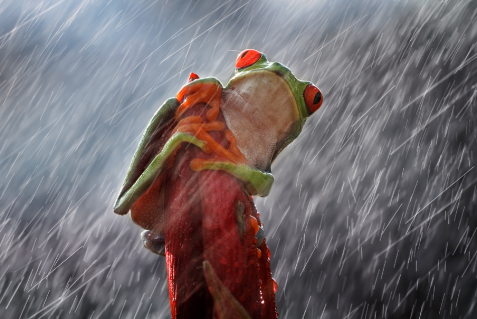 heavy rain von Shikhei Goh