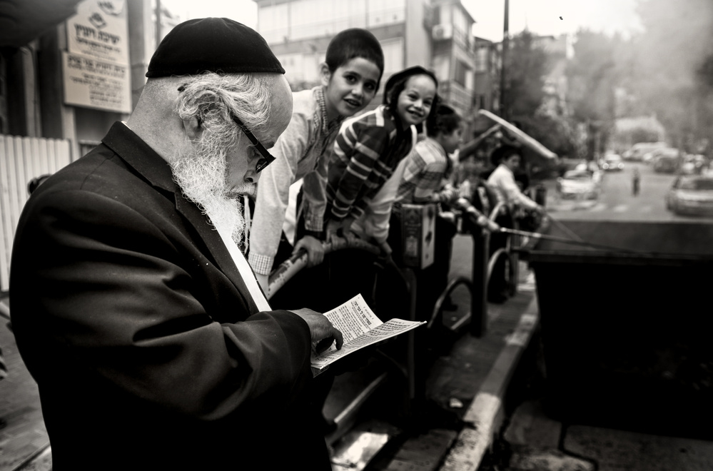 The teacher von Shiran Rokban