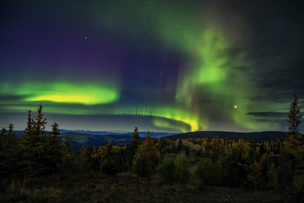 Northern Lights von Shirley Ji