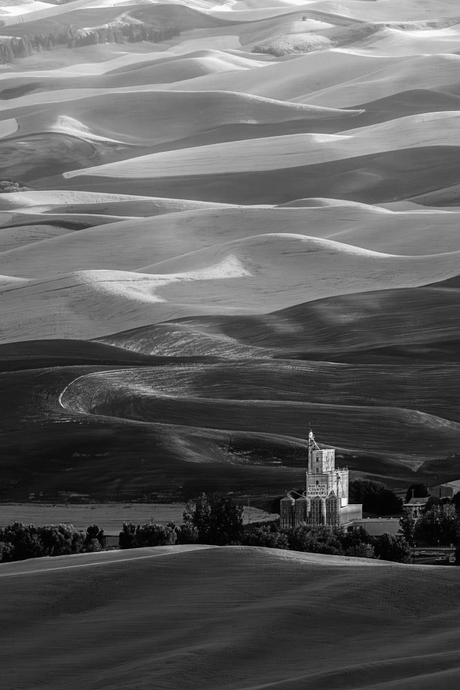 Palouse Fields von Shirley Ji