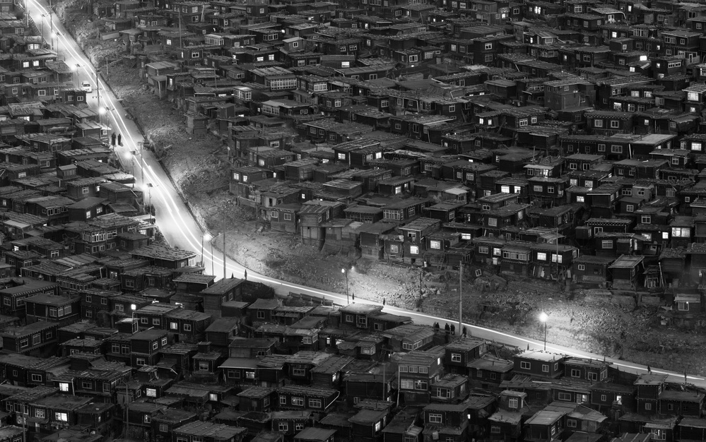 Night Walk von Shirley Shen