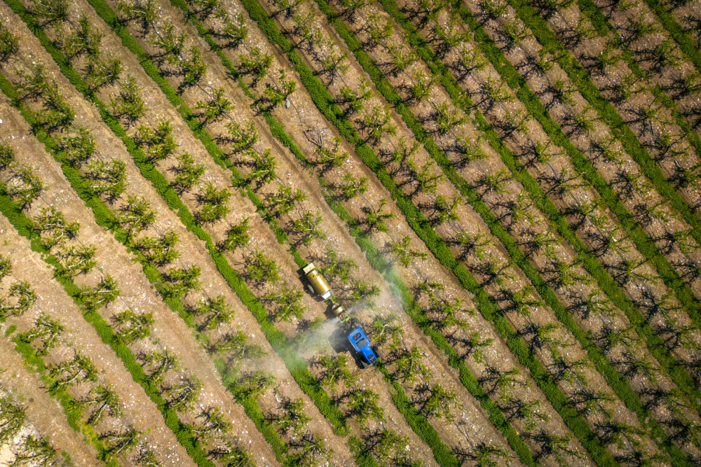 Agriculture from above von Shmulik Weiss