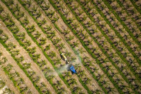 Agriculture from above