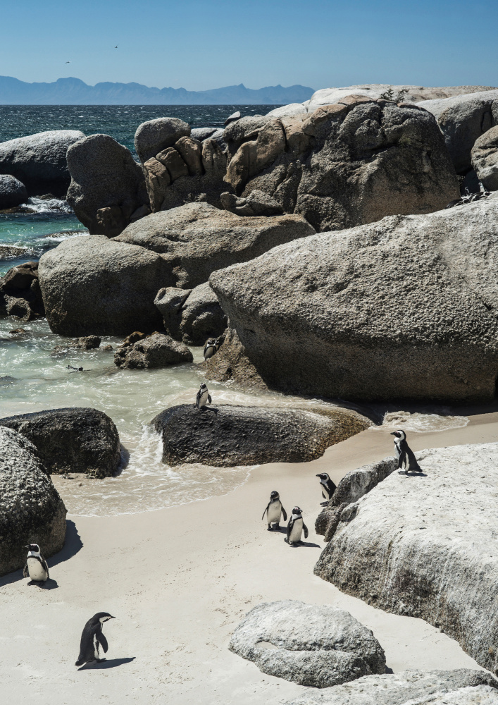 Boulders Beach von Shot by Clint