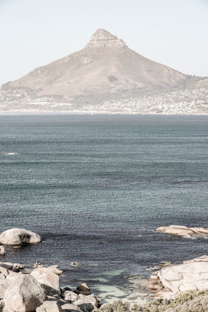 Lions Head von Shot by Clint