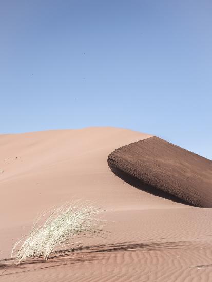 Namib Two