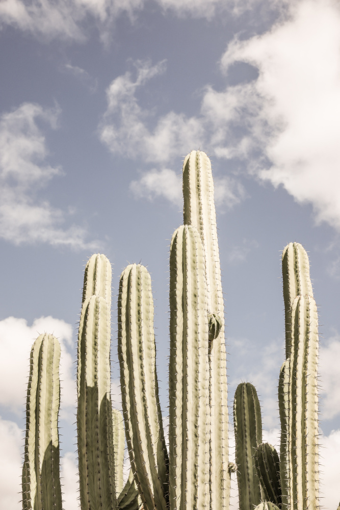 Desert Cathedral No2 von Shot by Clint