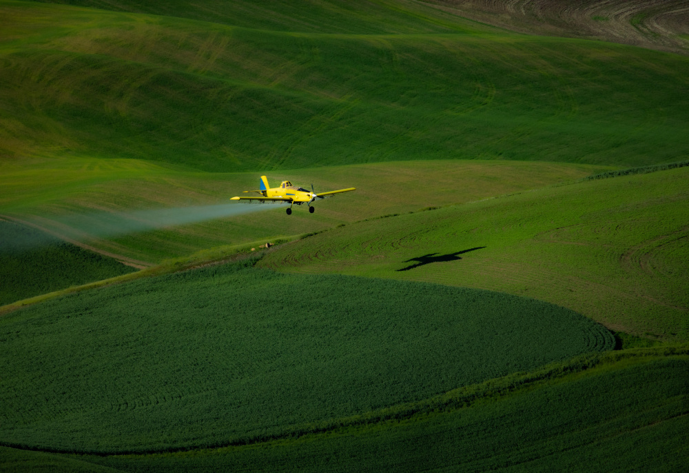 The airplane and the Palouse von Shuqing Bao