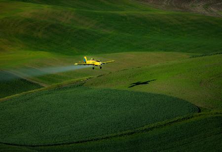 The airplane and the Palouse