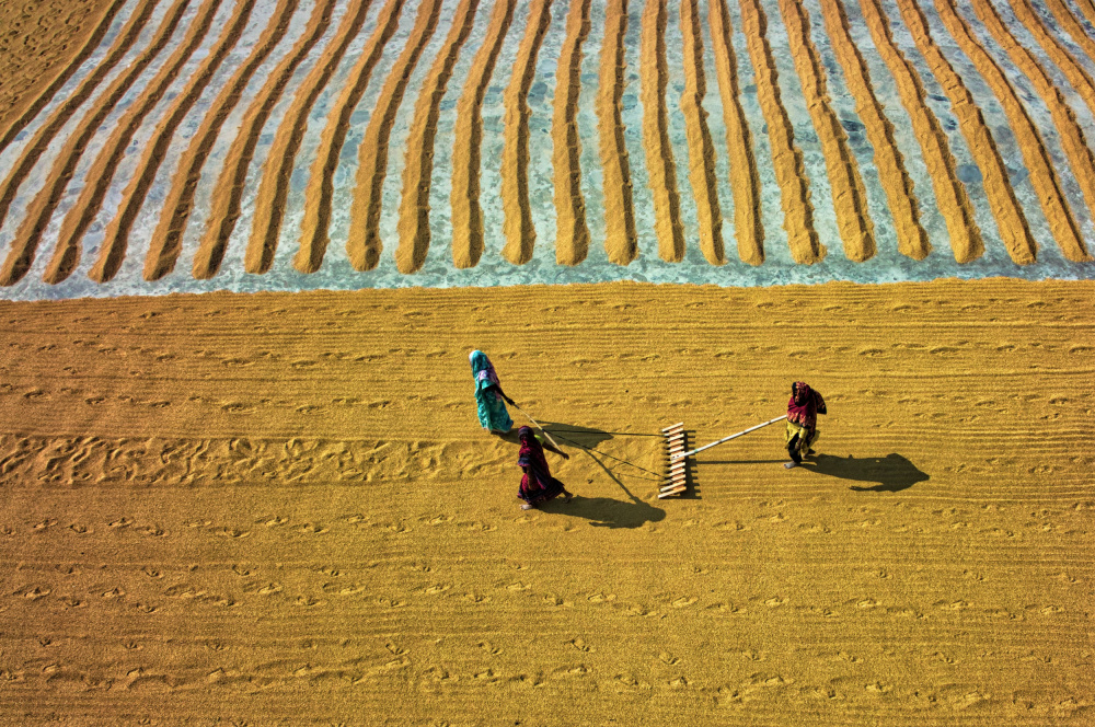 Women in rice mill von Sikder Mesbahuddin Ahmed