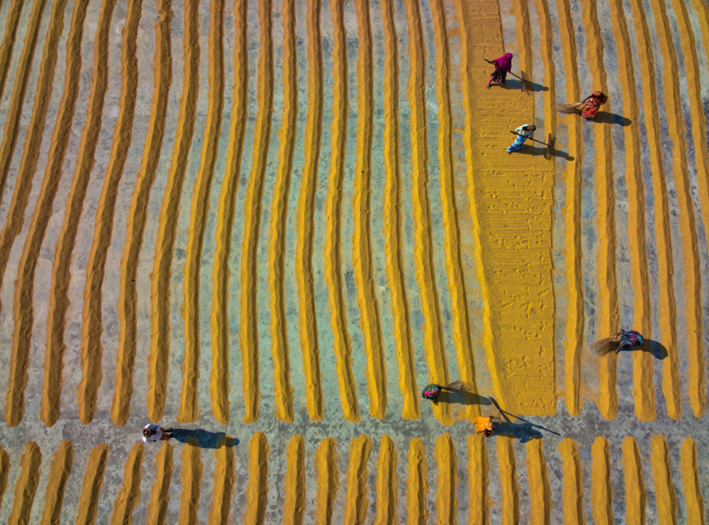 Work in progress in a rice mill von Sikder Mesbahuddin Ahmed