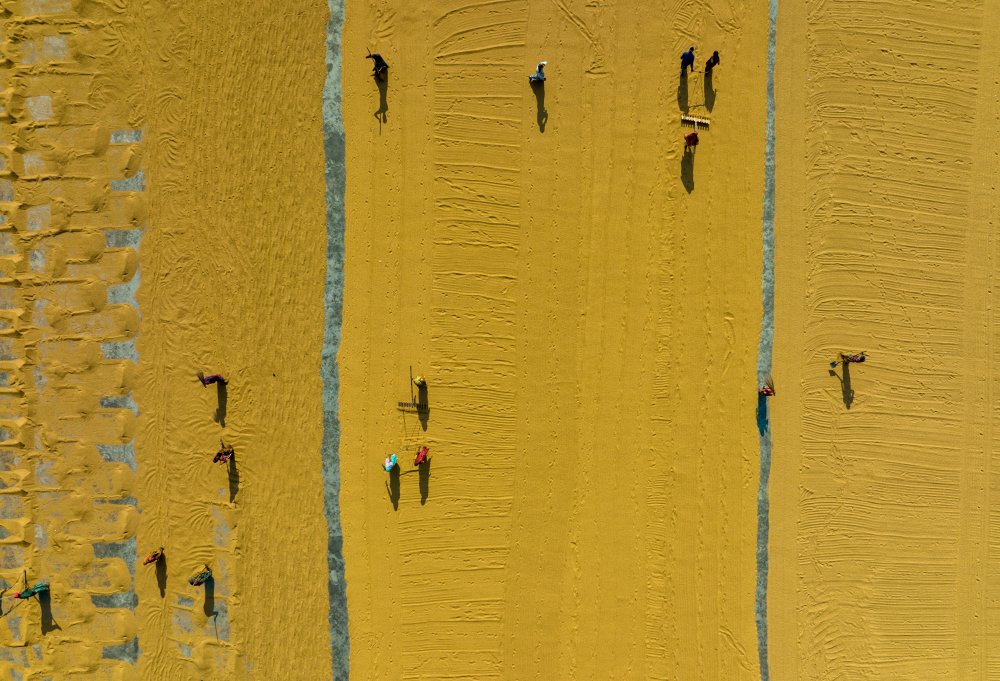 Pattern in Rice Mill von Sikder Mesbahuddin Ahmed