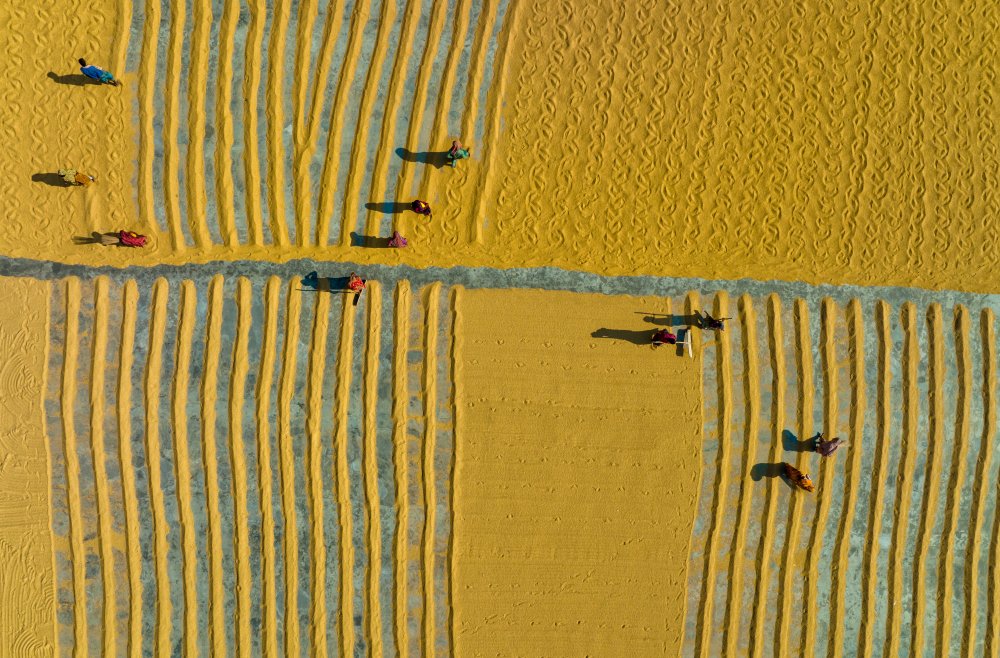 Pattern Maker in Rice Mill von Sikder Mesbahuddin Ahmed