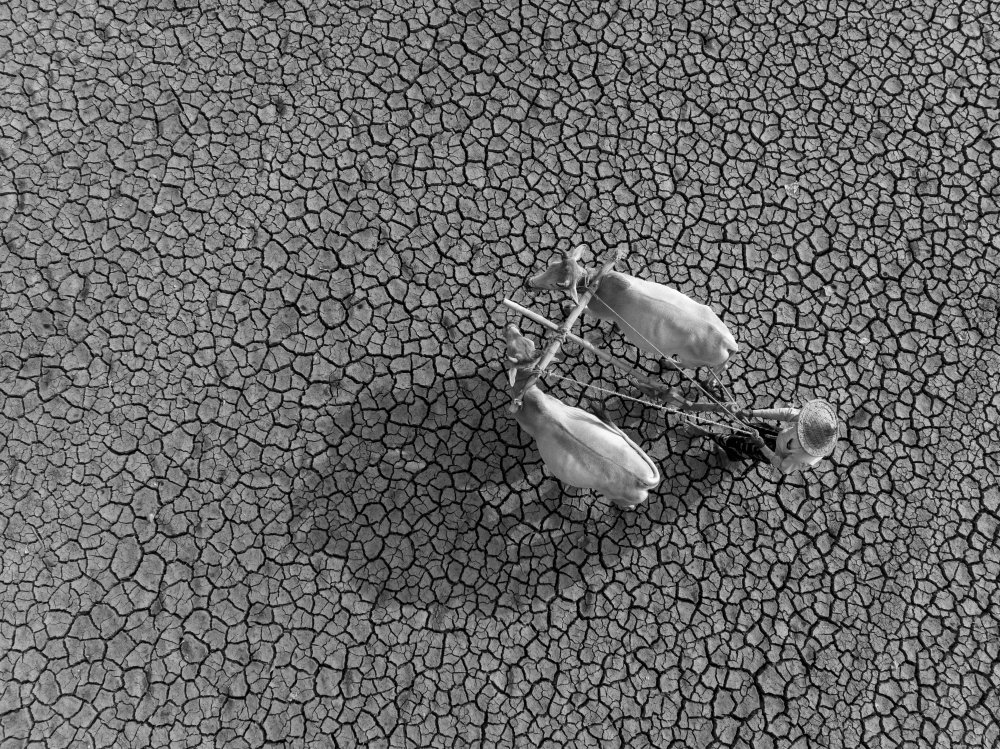 Oasis!! von Sikder Mesbahuddin Ahmed